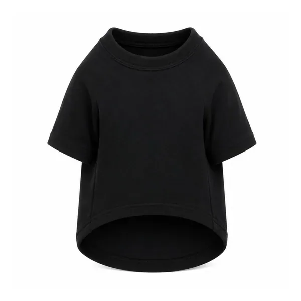 Dog’s raglan t-shirt